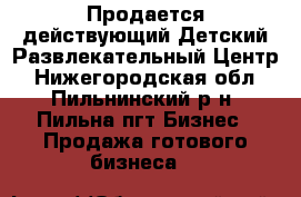 Продается действующий Детский Развлекательный Центр - Нижегородская обл., Пильнинский р-н, Пильна пгт Бизнес » Продажа готового бизнеса   